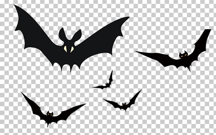 Bat Halloween Horror PNG, Clipart, Background Decoration, Bat, Beak, Black  And White, Cartoon Free PNG Download