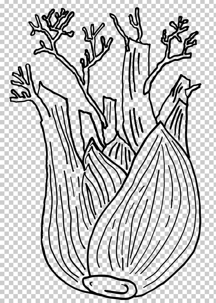 Black And White Fennel Vegetarian Cuisine Vegetable Drawing PNG, Clipart, Art, Black And White, Coloriage, Coloring Book, Fennel Free PNG Download
