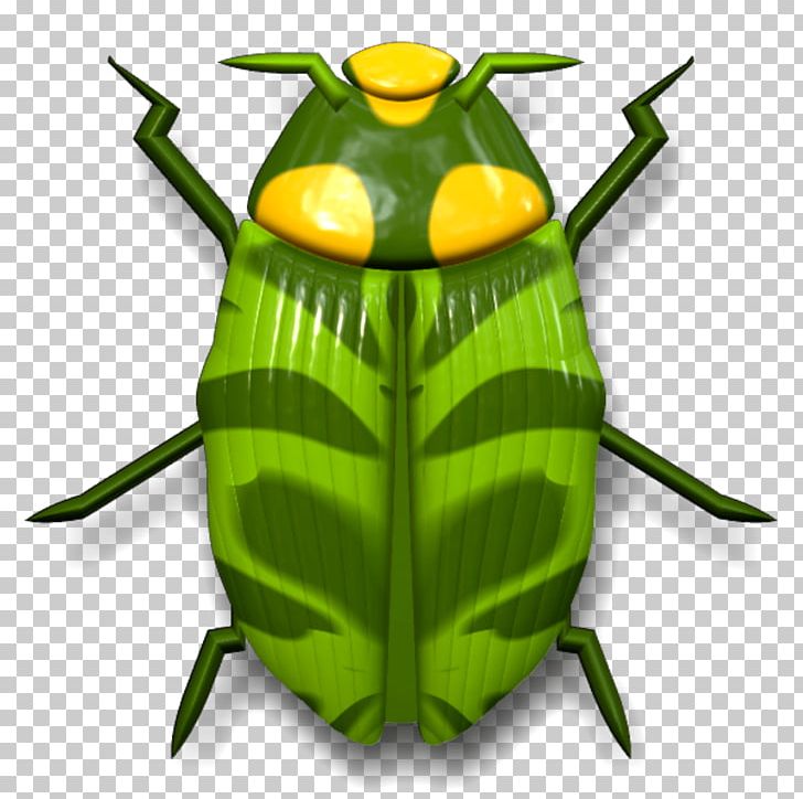 Ladybird Beetle Cockroach PNG, Clipart, Animal, Animals, Aphid, Beetle, Cockroach Free PNG Download