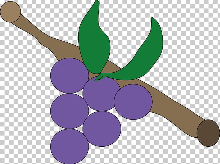 Purple Grapevines PNG, Clipart, Food, Fruit, Fruit Nut, Grape, Grapevine Family Free PNG Download