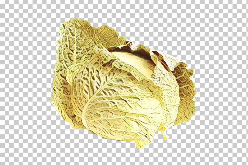 Food Cabbage Cuisine PNG, Clipart, Cabbage, Cuisine, Food Free PNG Download