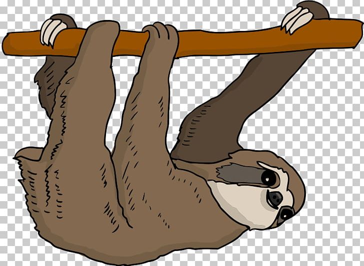Sloth Mammal Illustration PNG, Clipart, Arm, Bear, Carnivoran, Cartoon, Drawing Free PNG Download