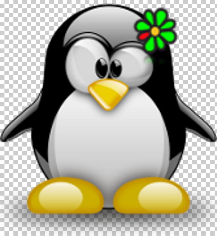Tux Racer Tux Typing Penguin Linux PNG, Clipart, Animals, Beak, Bird, Computer Wallpaper, Flightless Bird Free PNG Download