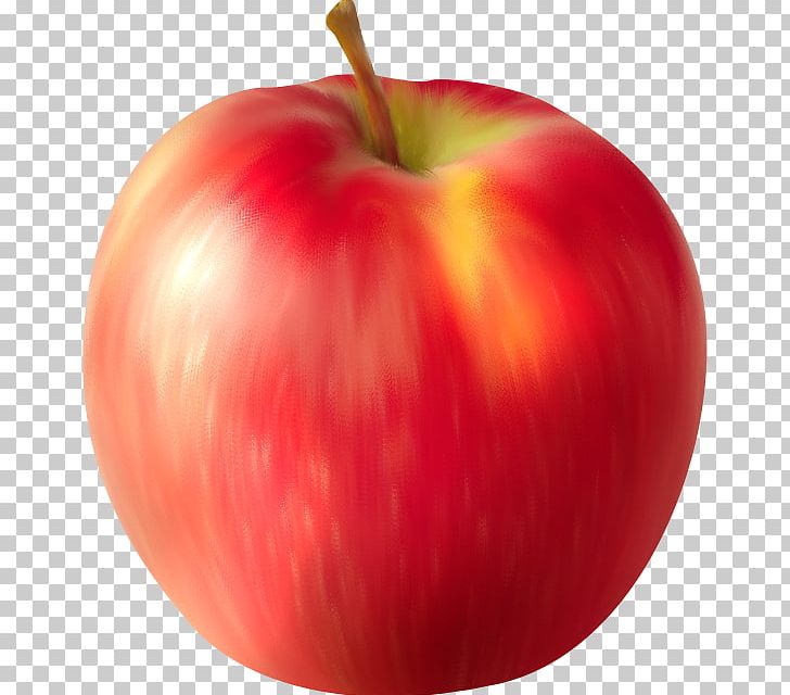 Apple Auglis Computer Software PNG, Clipart, Accessory Fruit, Adobe Illustrator, Apple, Apple Fruit, Auglis Free PNG Download