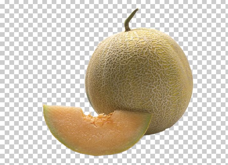 Honeydew Cantaloupe Juice Hami Melon Galia Melon PNG, Clipart, Bees Honey, Cantaloupe, Cucumber, Cucumber Gourd And Melon Family, Cucumis Free PNG Download