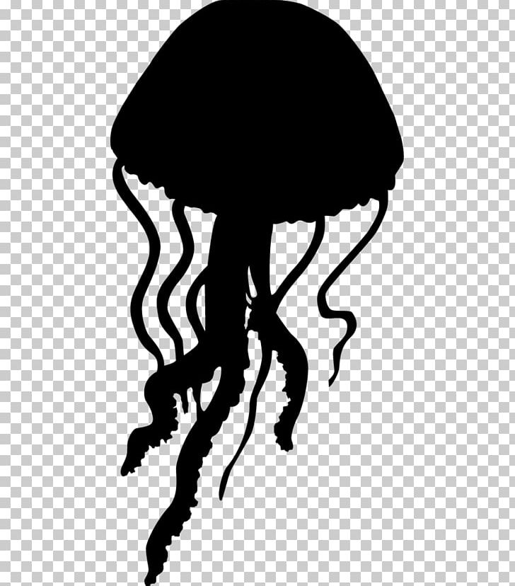 Lion's Mane Jellyfish Stencil Silhouette PNG, Clipart,  Free PNG Download