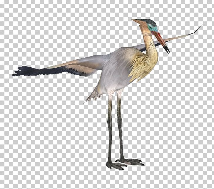 Desktop PNG, Clipart, Animal, Background, Beak, Bird, Crane Free PNG Download