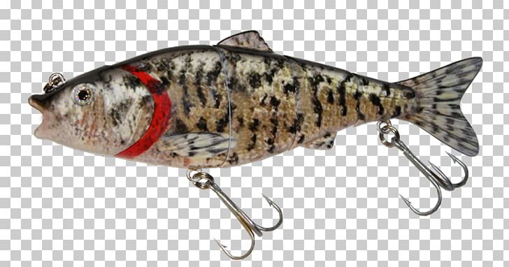 Perch Spoon Lure Swimbait Fishing Baits & Lures Minnow PNG, Clipart, Bait, Bass, Bluegill, Bony Fish, Crappie Free PNG Download