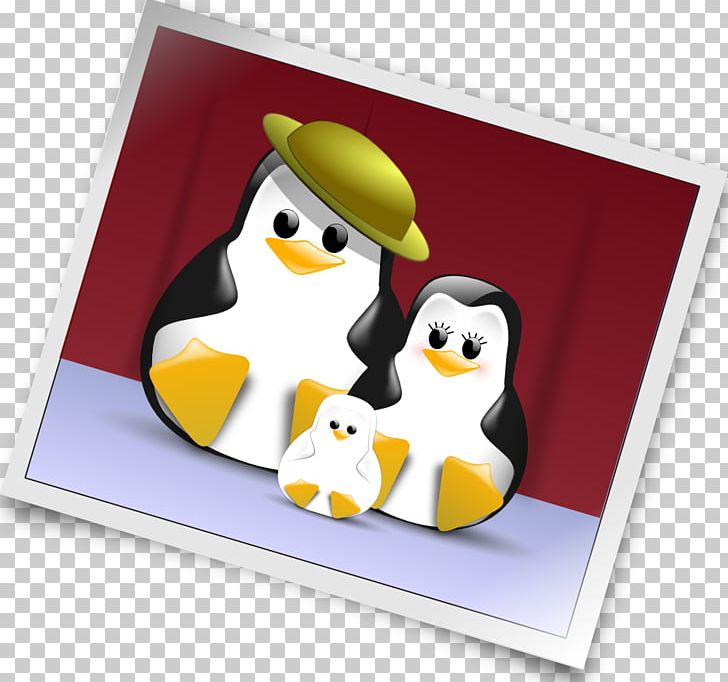 Photography PNG, Clipart, Bird, Computer Icons, Download, Drawing, Family Free PNG Download