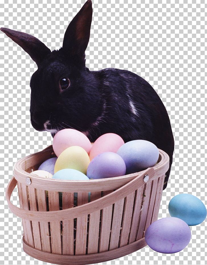 European Rabbit Leporids PNG, Clipart, Animals, Computer Icons, Domestic Rabbit, Download, Easter Free PNG Download