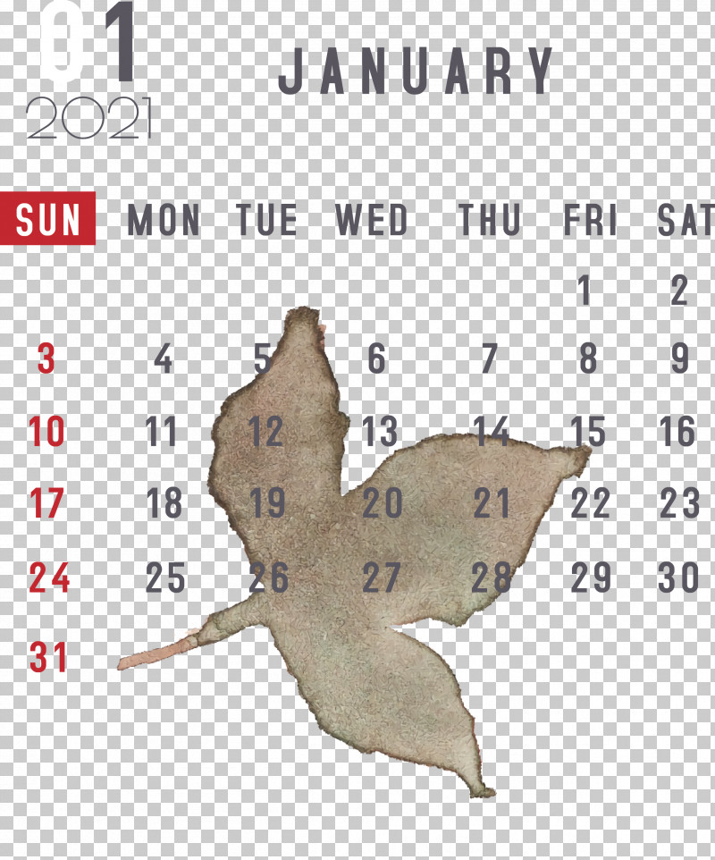 January January 2021 Printable Calendars January Calendar PNG, Clipart, Biology, Geometry, January, January Calendar, Line Free PNG Download
