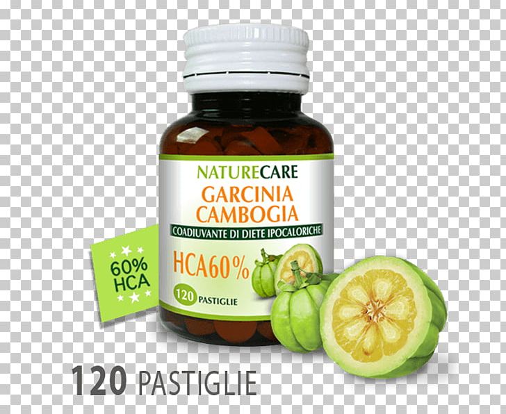 Garcinia Cambogia Dietary Supplement Weight Loss Anti-obesity Medication Hydroxycitric Acid PNG, Clipart, Antiobesity Medication, Appetite, Diet, Dieta Dimagrante, Dietary Supplement Free PNG Download