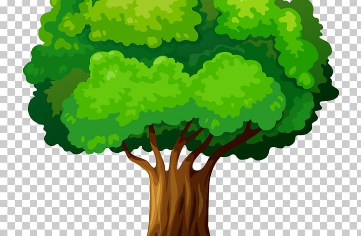 Graphics Trees And Leaves Illustration PNG, Clipart, Drawing, Grass, Green, Human Behavior, Leaf Free PNG Download