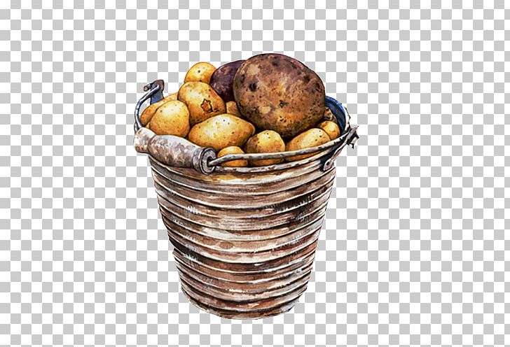 Potato Vegetable Illustrator Watercolor Painting Illustration PNG, Clipart, Basket, Drum, Food, Fruit, Hand Free PNG Download