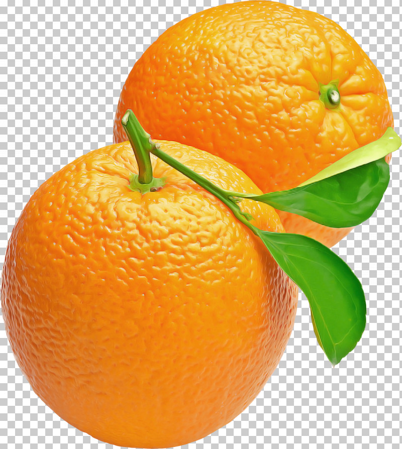 Orange PNG, Clipart, Bitter Orange, Blood Orange, Citron, Clementine, Fruit Free PNG Download