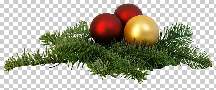 Christmas Tree PNG, Clipart, Candle, Celebration, Christmas, Christmas Decoration, Christmas Ornament Free PNG Download