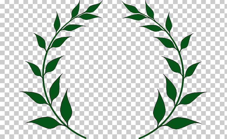 Laurel Wreath Bay Laurel Olive Wreath Leaf PNG, Clipart, Artwork, Bay Laurel, Branch, Clip Art, Flora Free PNG Download