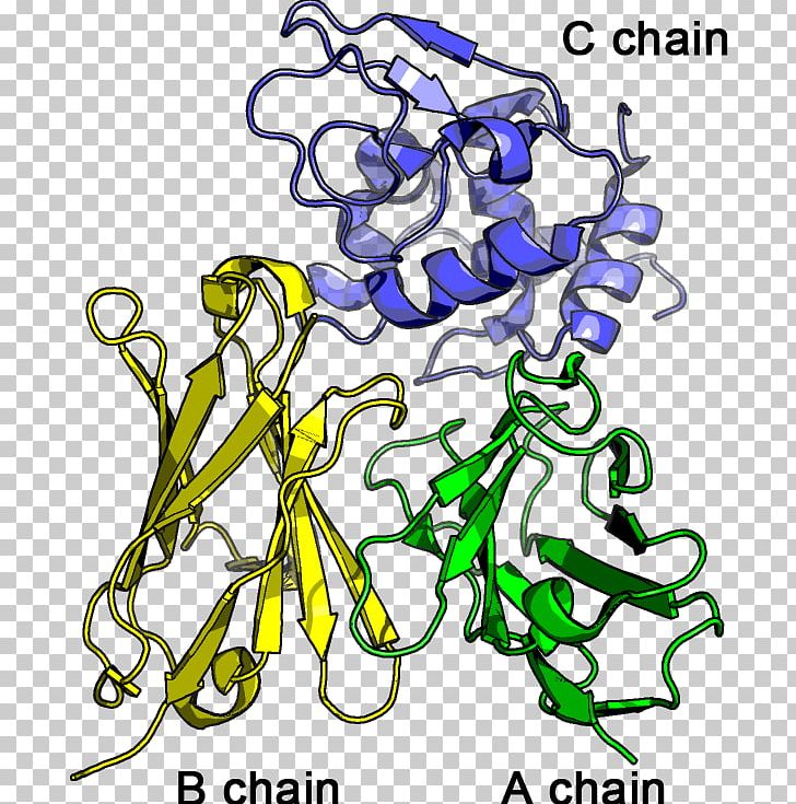 Simulation Amino Acid Molecular Dynamics 残基 PNG, Clipart, Agricultural Chin, Amino Acid, Area, Artwork, Flora Free PNG Download