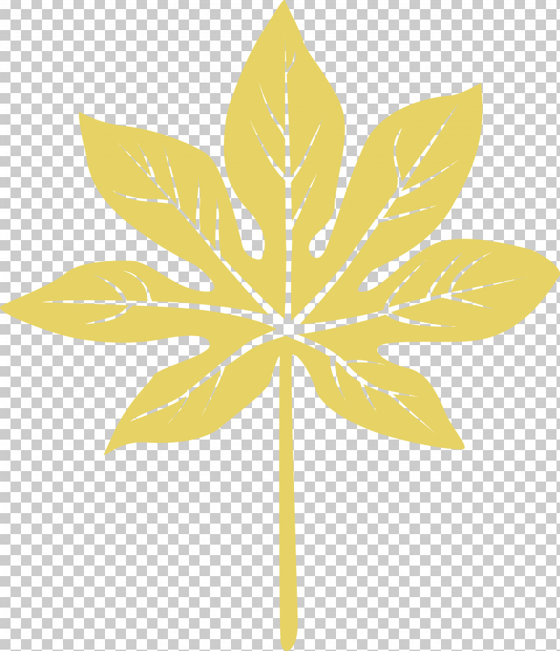 Leaf PNG, Clipart, Biology, Flower, Leaf, Mathematics, Petal Free PNG Download