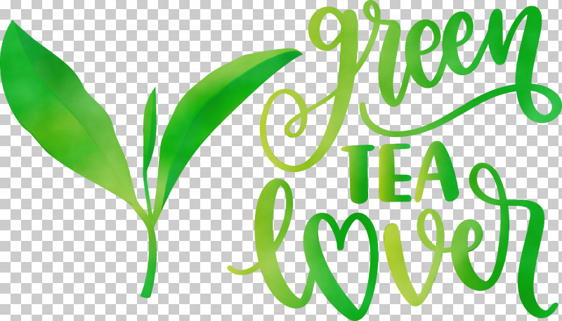 Leaf Meter Logo Plant Stem Grasses PNG, Clipart, Commodity, Grasses, Herbal Medicine, Leaf, Line Free PNG Download