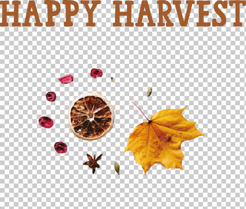 Happy Harvest Harvest Time PNG, Clipart, Biology, Happy Harvest, Harvest Time, Leaf, Meter Free PNG Download