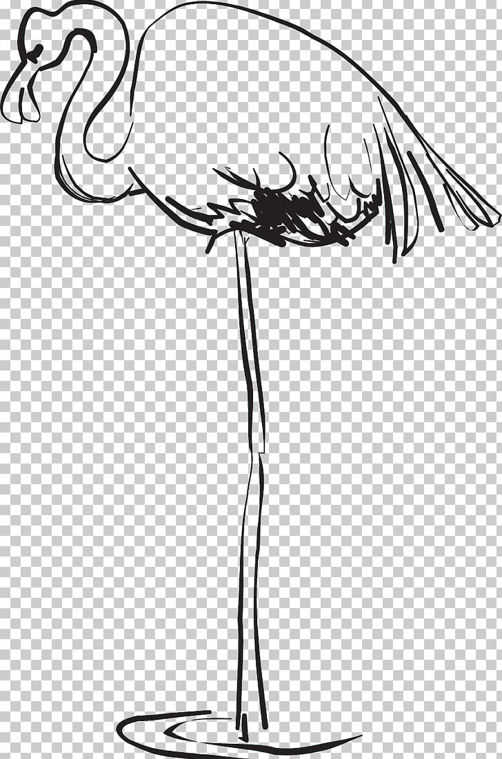 Bird Greater Flamingo Beak PNG, Clipart, Animals, Artwork, Beak, Bird, Black And White Free PNG Download