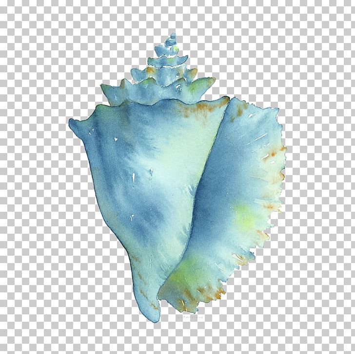 Conch Watercolor Painting Seashell PNG, Clipart, Aqua, Art, Artist, Color, Conch Free PNG Download