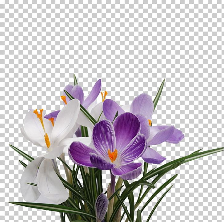 Flower Snowdrop Raster Graphics PNG, Clipart, Bouquet Of Flowers, Bouquet Of Roses, Crocus, Cut Flowers, Encapsulated Postscript Free PNG Download