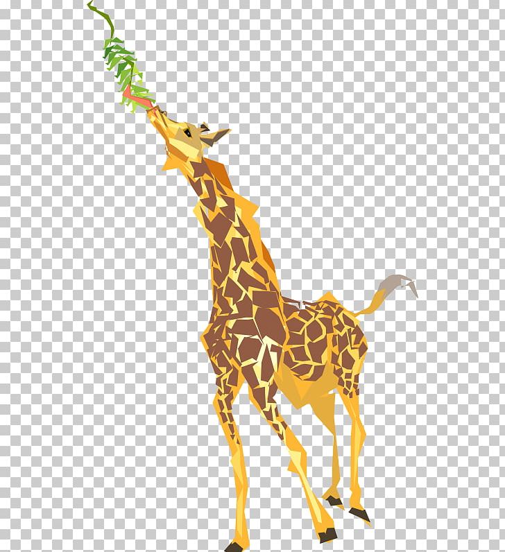 Giraffe PNG, Clipart, Animal, Animal Figure, Eating, Fauna, Giraffe Free PNG Download
