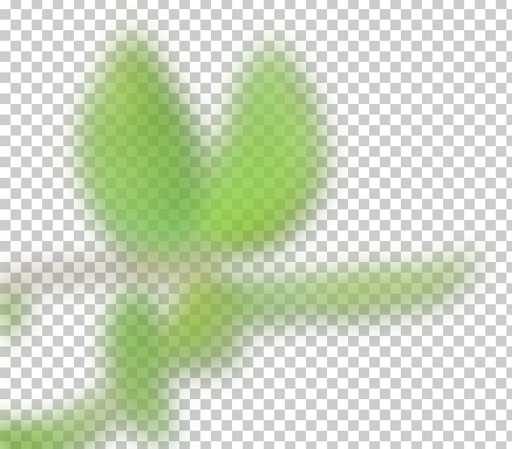 Leaf Desktop Close-up Plant Stem PNG, Clipart, Closeup, Closeup, Computer, Computer Wallpaper, Desktop Wallpaper Free PNG Download