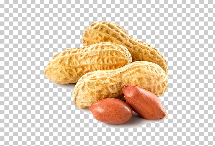 Peanut PNG, Clipart, Peanut Free PNG Download