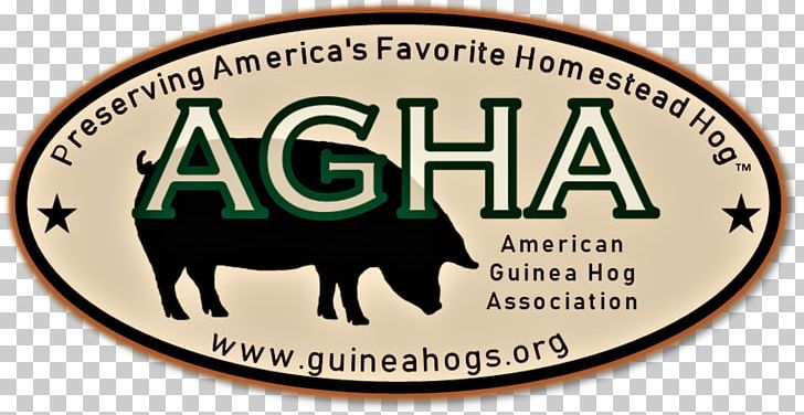 Guinea Hog Pig Breed Animal PNG, Clipart, Animal, Animals, Brand, Breed, Domestic Pig Free PNG Download