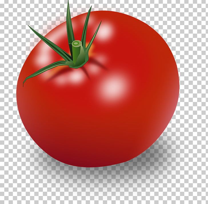 Hamburger Cherry Tomato Vegetable PNG, Clipart, Apple, Art, Bush Tomato, Cherry Tomato, Computer Icons Free PNG Download