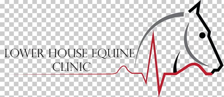 Horse Veterinarian Lower House Equine Clinic Elastic Therapeutic Tape PNG, Clipart, Angle, Animals, Area, Brand, Clinic Free PNG Download