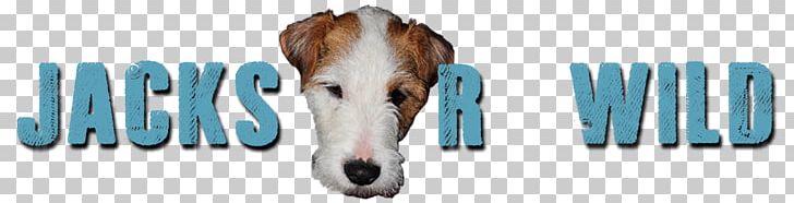 Parson Russell Terrier Jack Russell Terrier Breed PNG, Clipart, Alberta, Animal, Animal Figure, Brand, Breed Free PNG Download