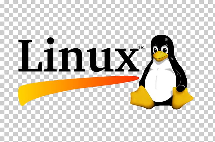 Red Hat Enterprise Linux System Administrator Operating Systems File System PNG, Clipart, Beak, Bird, Brand, Cartoon, Computer Free PNG Download