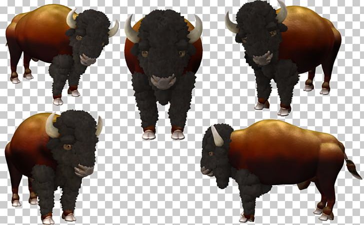 Bull Cattle Bison Horn Terrestrial Animal PNG, Clipart, American Bison, Animal, Bison, Bull, Cattle Free PNG Download