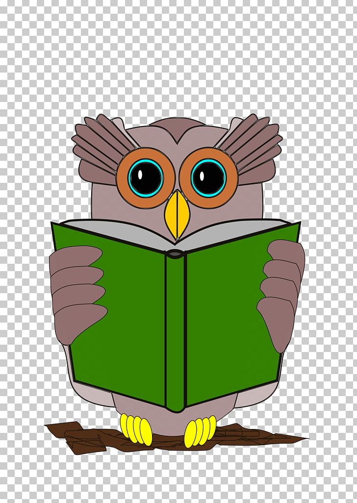 Owl Book Reading PNG, Clipart, Beak, Bird, Bird Of Prey, Book, Cartoon Free PNG Download