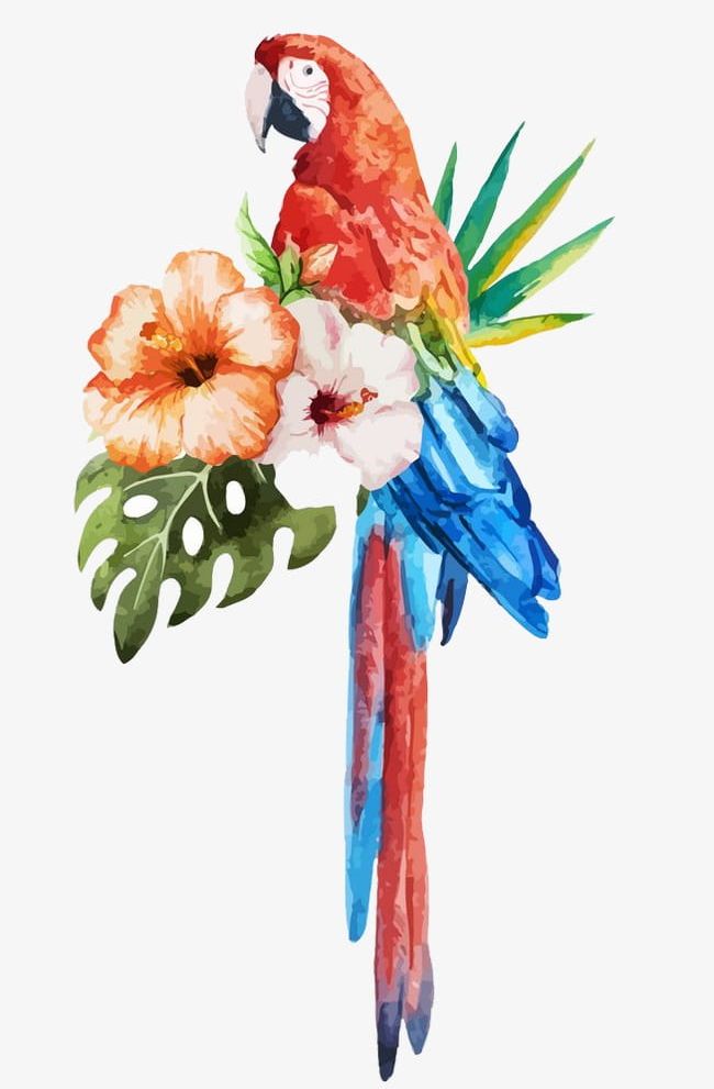 Parrot Watercolor Flowers PNG, Clipart, Flowers, Flowers Clipart, Parrot, Parrot Clipart, Watercolor Free PNG Download