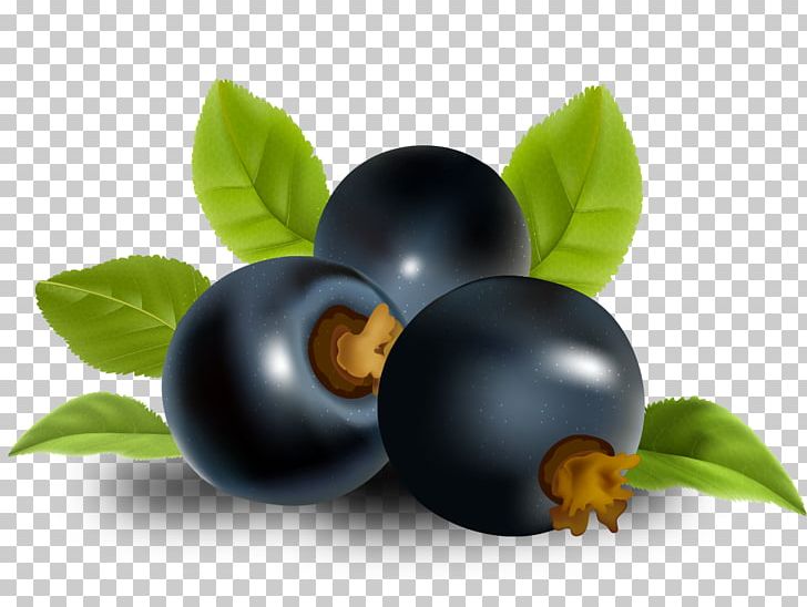 Smoothie Juice Blackcurrant Frutti Di Bosco Zante Currant PNG, Clipart, Art, Berry, Bilberry, Blueberry, Blueberry Bush Free PNG Download