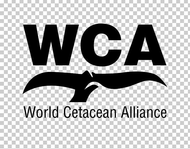Whale Conservation Cetaceans World Cetacean Alliance Whale Watching Porpoise PNG, Clipart, Animals, Area, Black, Black And White, Brand Free PNG Download