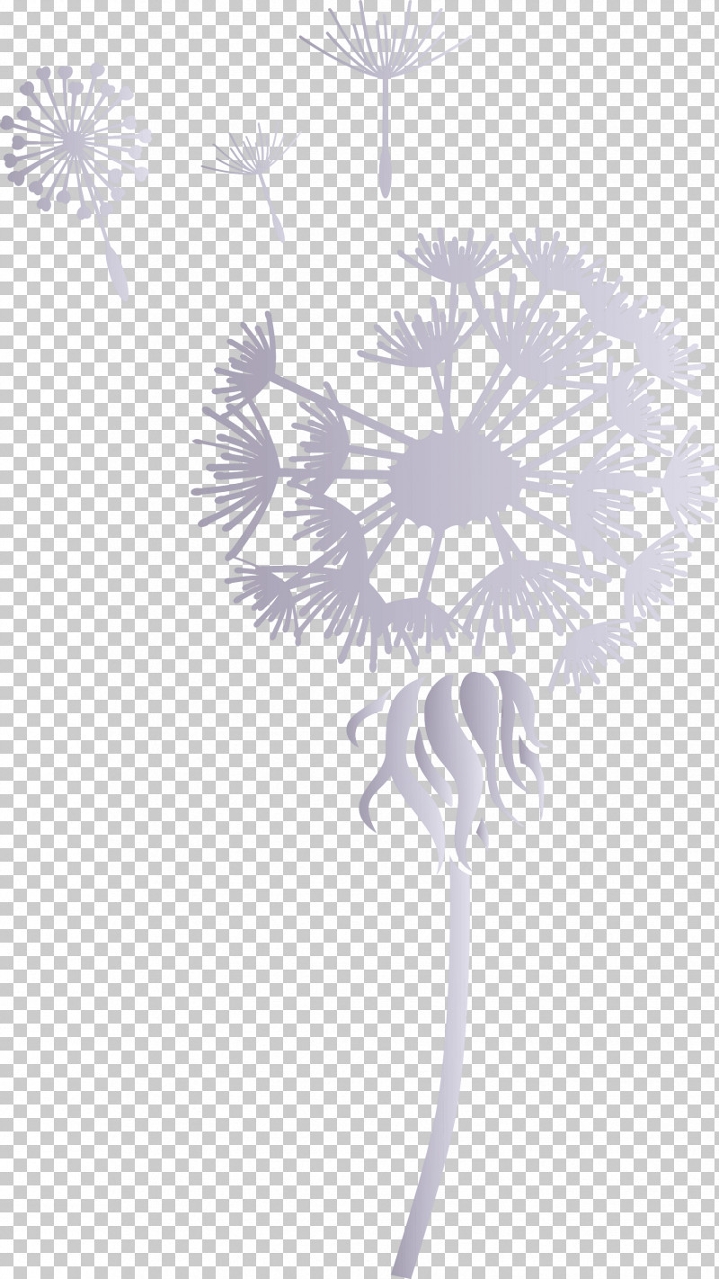 Dandelion PNG, Clipart, Chrysanthemum, Dandelion, Drawing, Flower, Leaf Free PNG Download