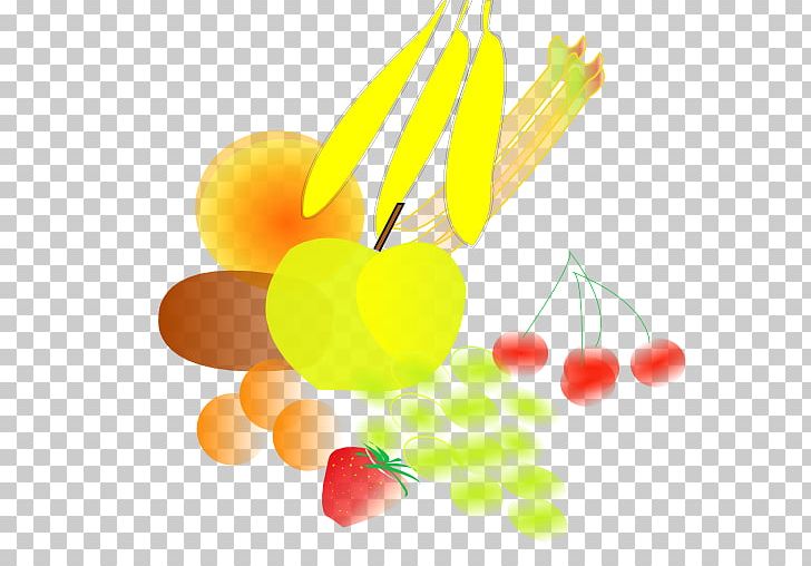 Fruit IT Nilsson Nutrition Auglis Computer Icons PNG, Clipart, Android, Auglis, Computer, Computer Icons, Computer Wallpaper Free PNG Download
