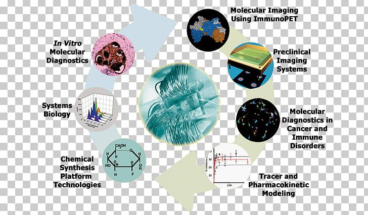 Molecular Imaging Molecular Biology Medical Imaging Medical Diagnosis Laboratory PNG, Clipart, Biochemistry, Biological Imaging, Biology, Cancer, Cell Biology Free PNG Download