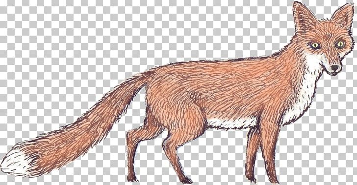 Red Fox Jackal Fur Fauna Vulpini PNG, Clipart, Animal, Carnivoran, Dog Like Mammal, Fauna, Fox Free PNG Download