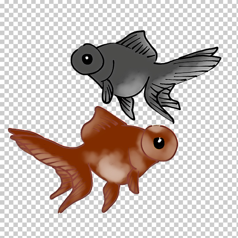 Beak Birds Goldfish Fish Ray-finned Fishes PNG, Clipart, Aquarium, Batoids, Beak, Birds, Fish Free PNG Download