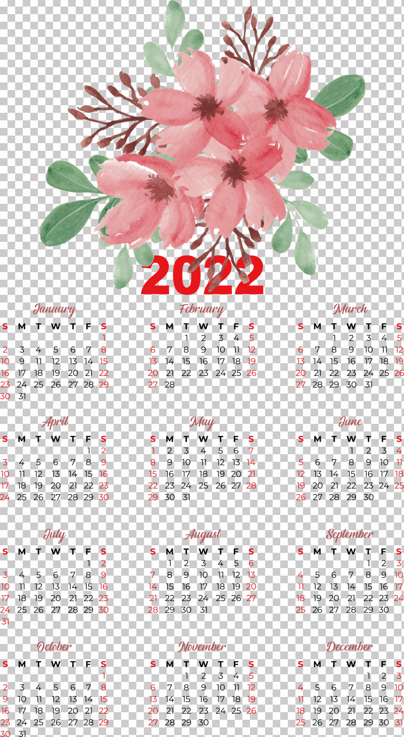 Flower Calendar Petal Meter Plant PNG, Clipart, Biology, Calendar, Flower, Meter, Petal Free PNG Download