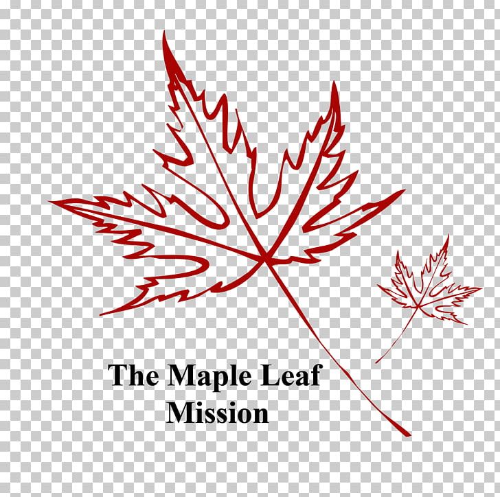 Maple Leaf Bar Design Photographer PNG, Clipart, Area, Flower, Flowering Plant, Hello Everyone, Leaf Free PNG Download