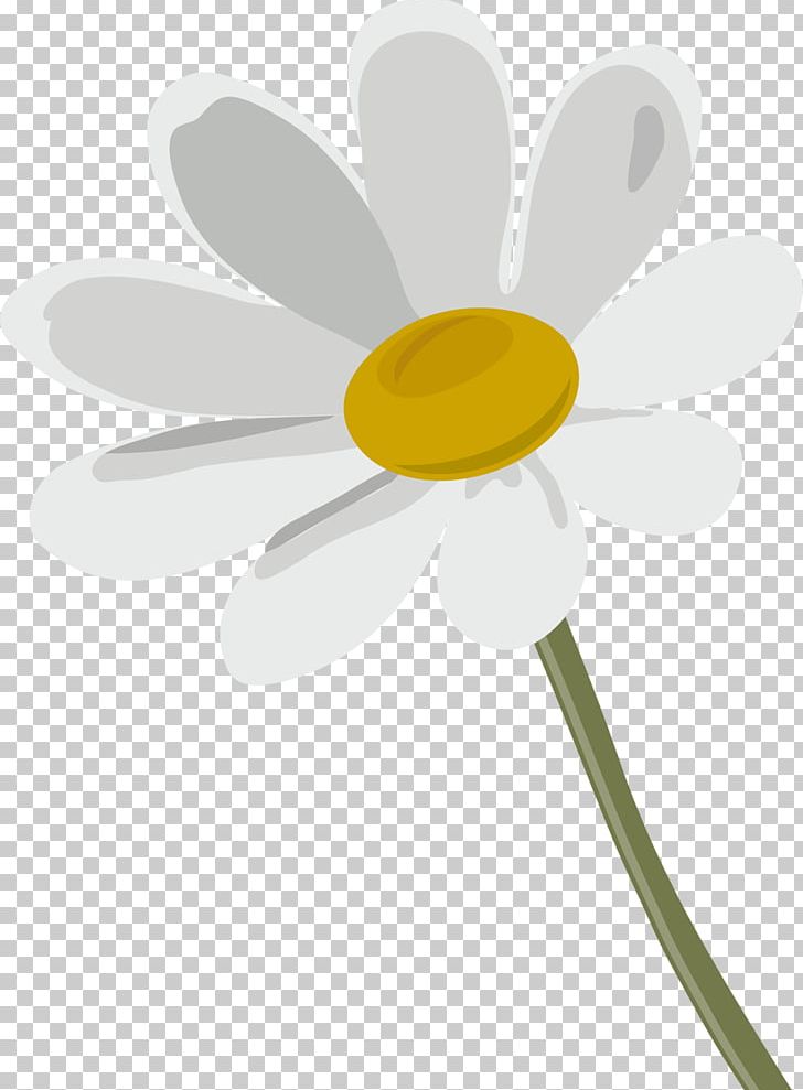 Oxeye Daisy German Chamomile Flower PNG, Clipart, Advertising, Camomile, Daisy, Denizbank, February Free PNG Download