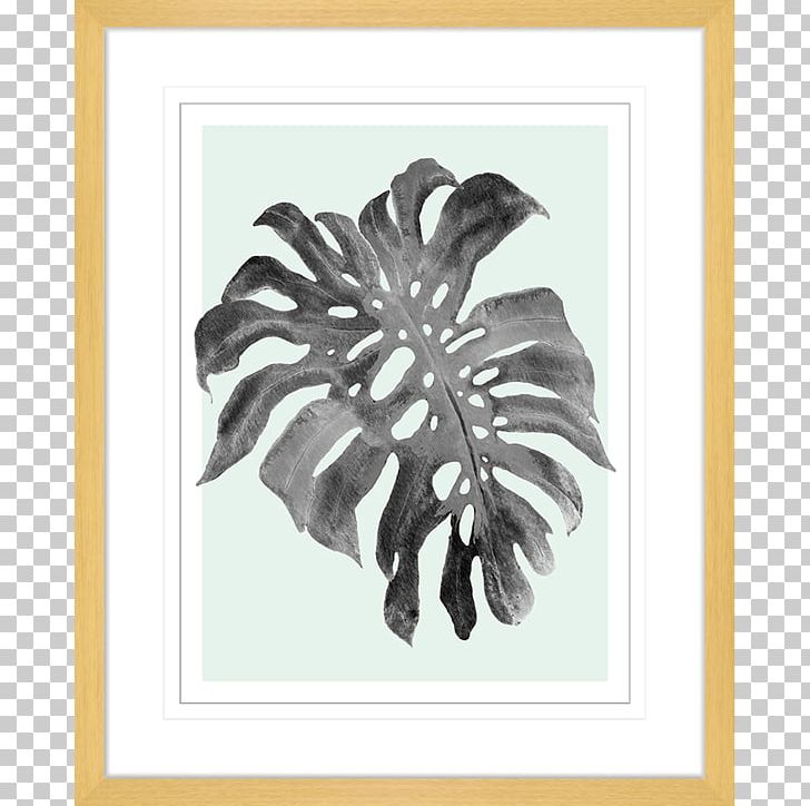 Swiss Cheese Plant Paper Frames Printmaking Art PNG, Clipart, Architecture, Art, Canvas, Canvas Print, Flower Free PNG Download
